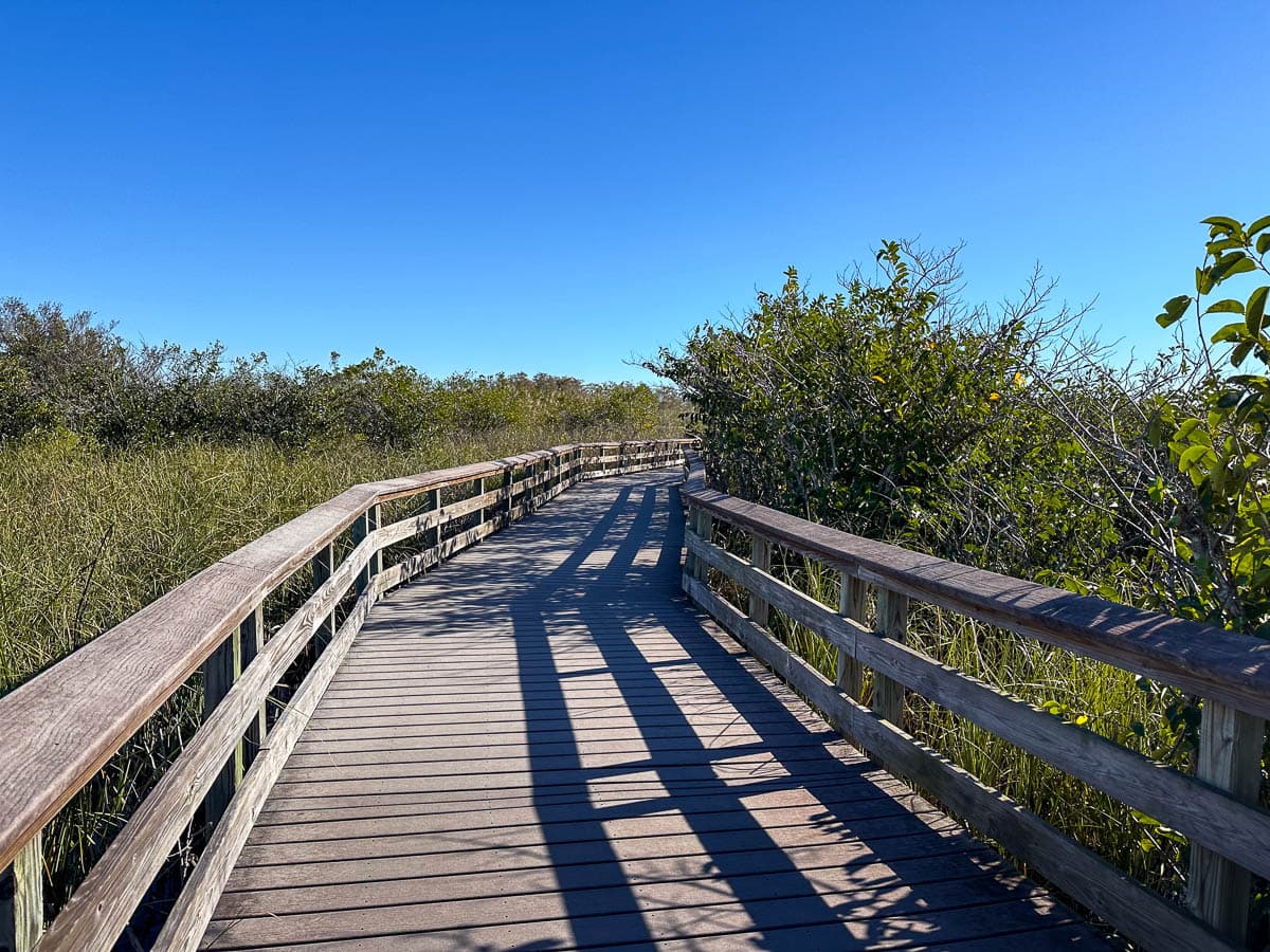 Wooden boardwalk along the Anhinga Trail in Everglades National Park