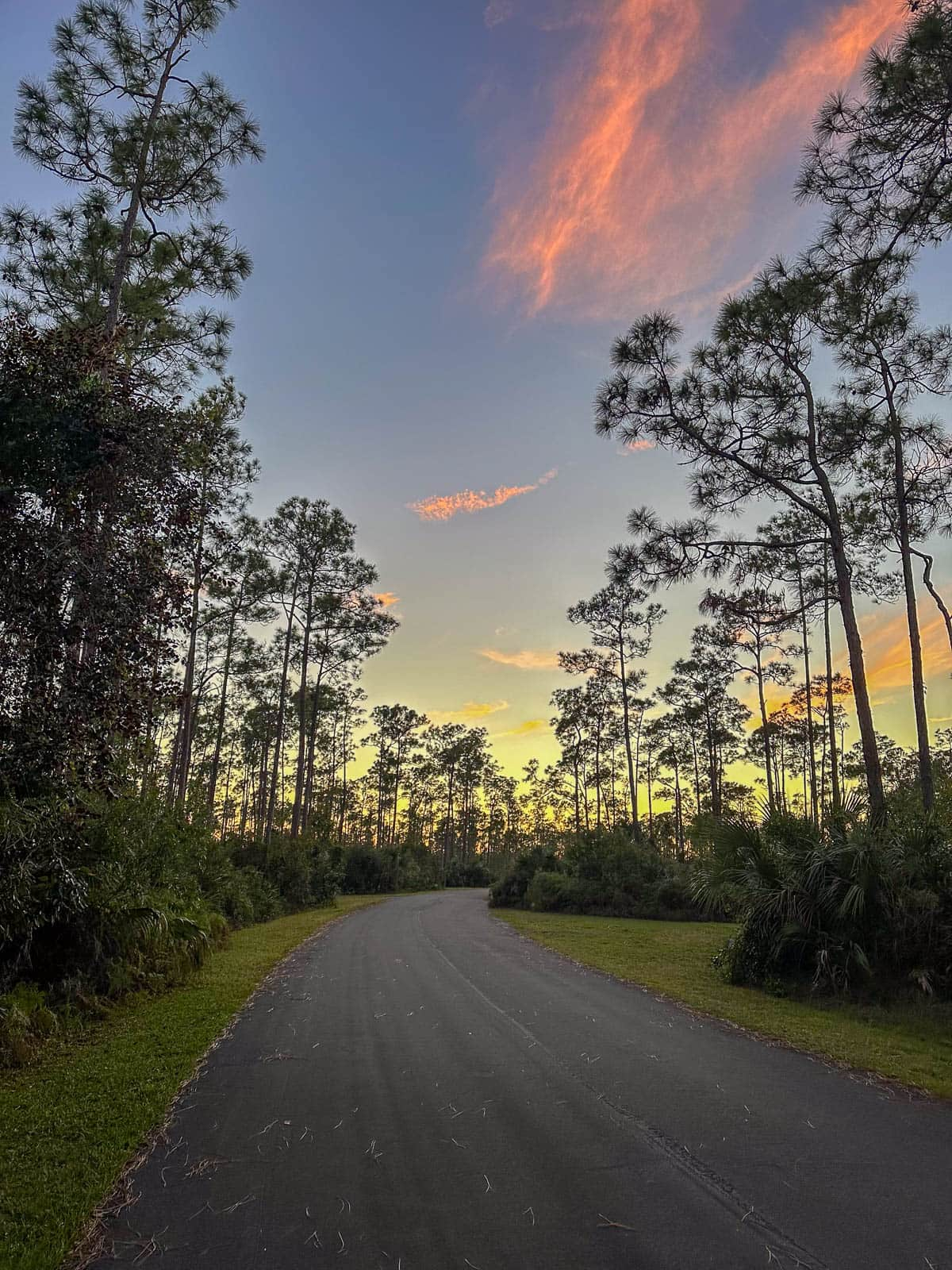 Sunset over Long Pine Key Campground in Everglades National Park