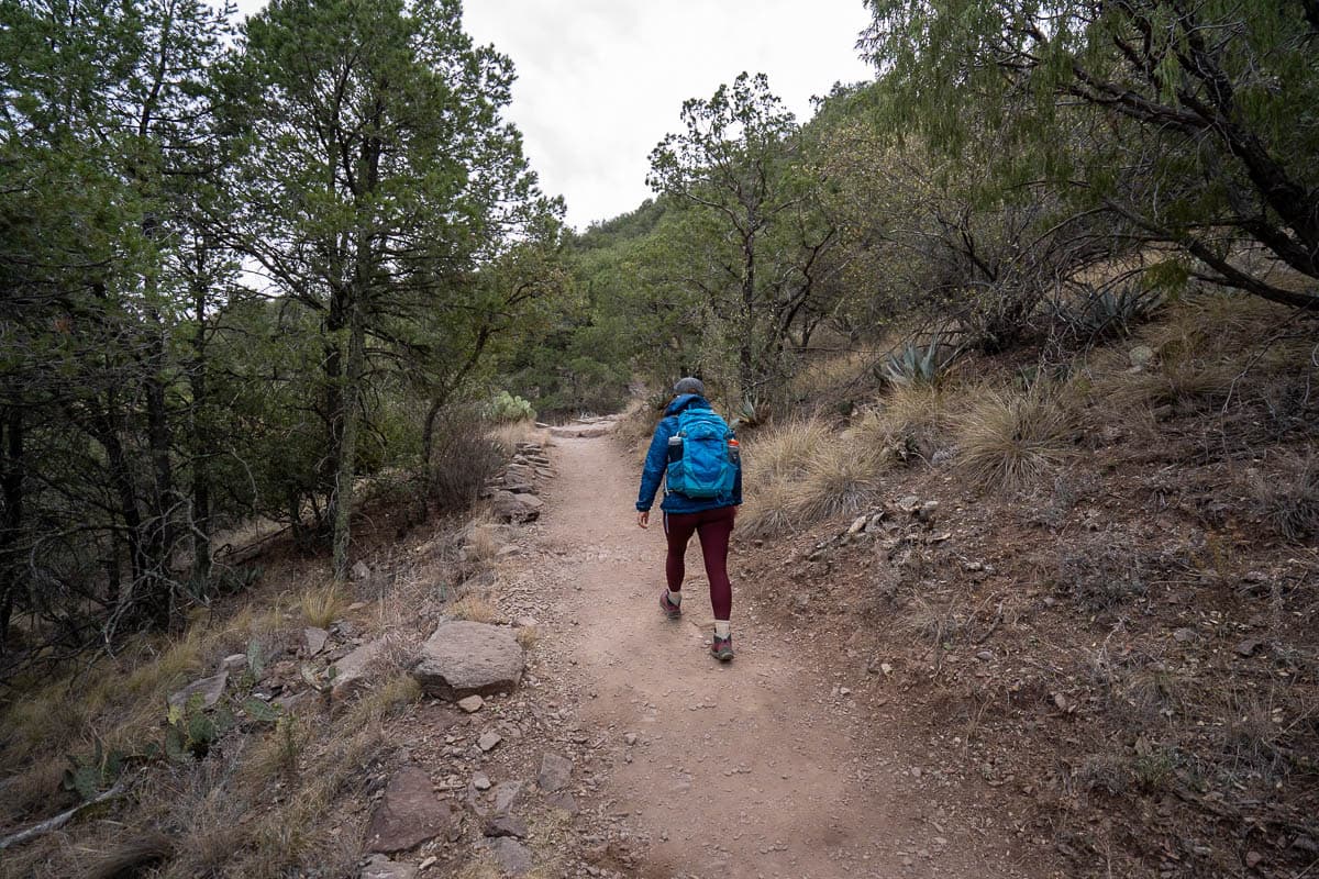 Woman hiking along a trail through juniper trees along the South Rim Trail in Big Bend National Park