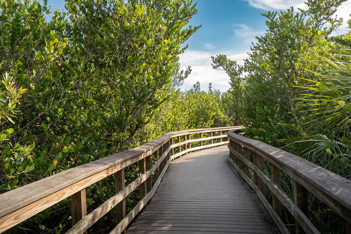 Wooden boardwalk along the Bobcat Boardwalk Trail near Shark Valley in Everglades National Park