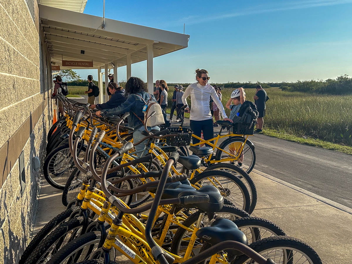 Yellow bikes available for rent at the Shark Valley Visitor Center in Shark Valley in Everglades National Park