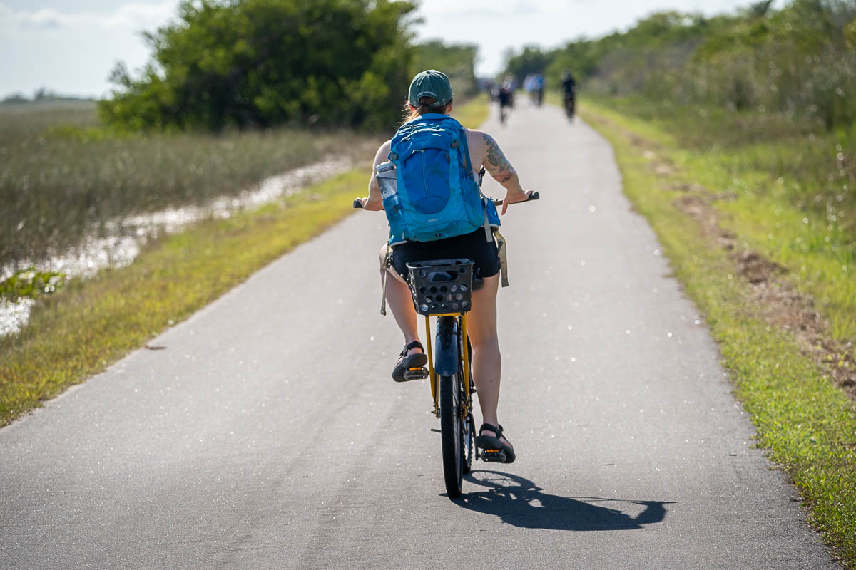 Woman riding a bike along the West Tram Trail on the Shark Valley bike path in Shark Valley in Everglades National Park