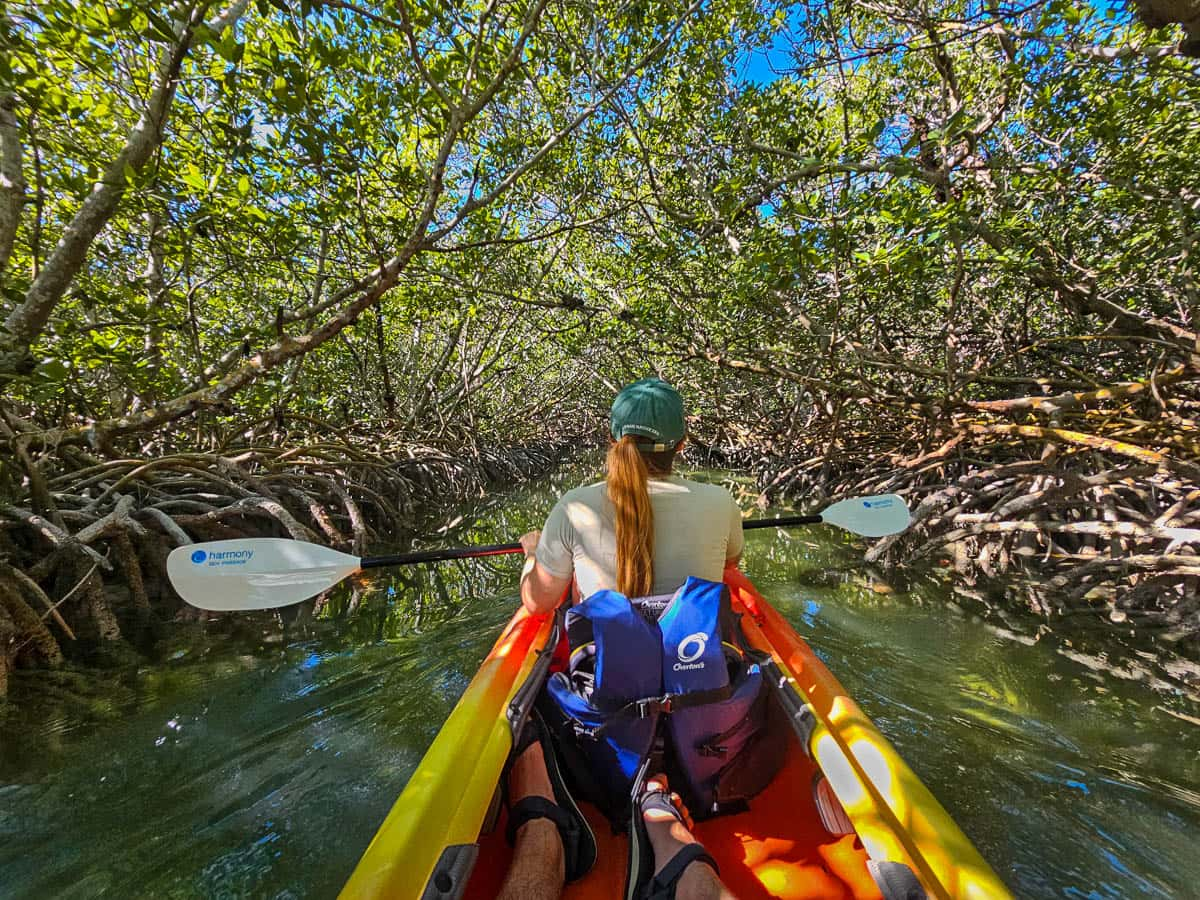 Woman kayaking through mangroves in Florida