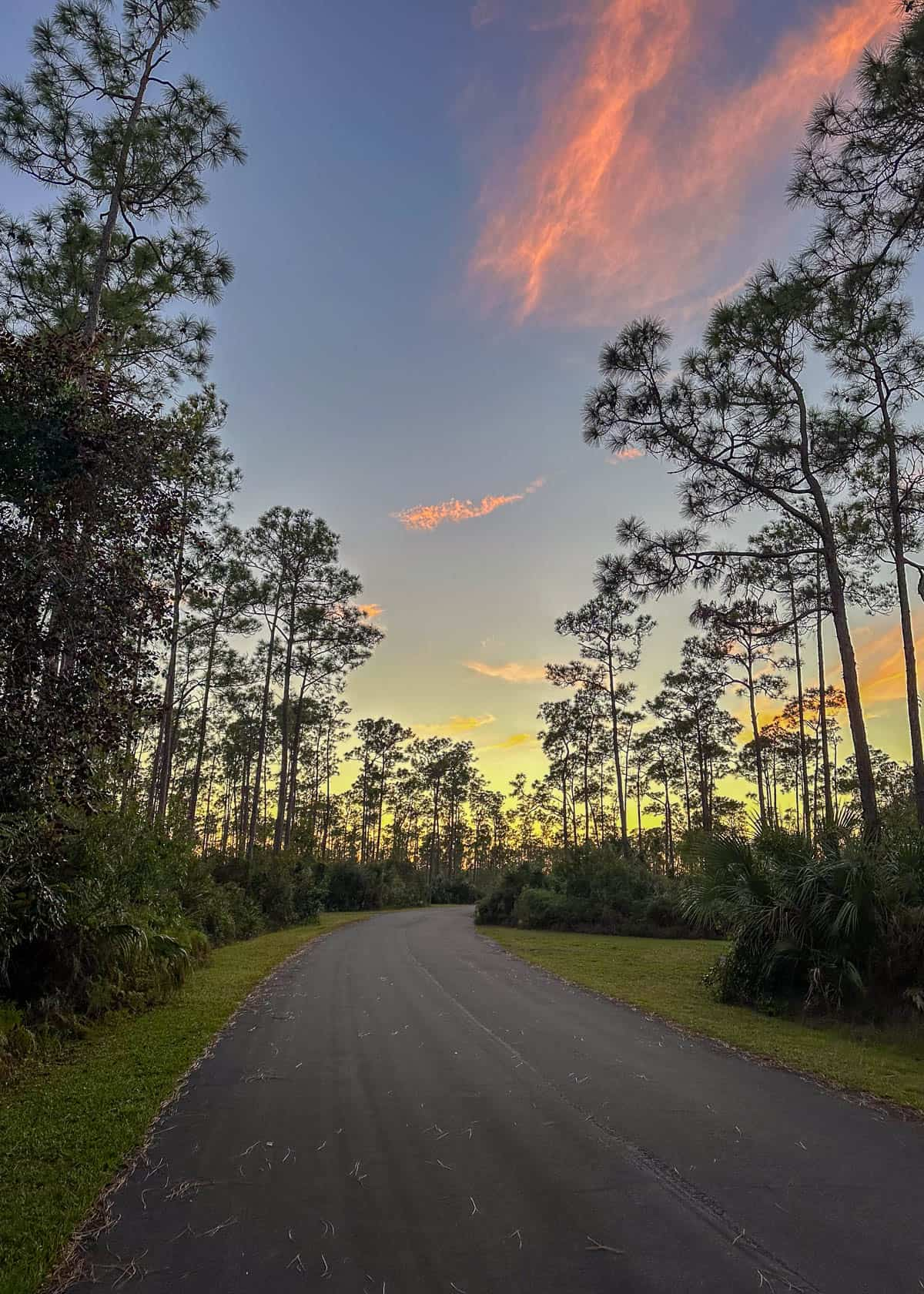 Sunset in Long Pine Key Campground in Everglades National Park in Florida