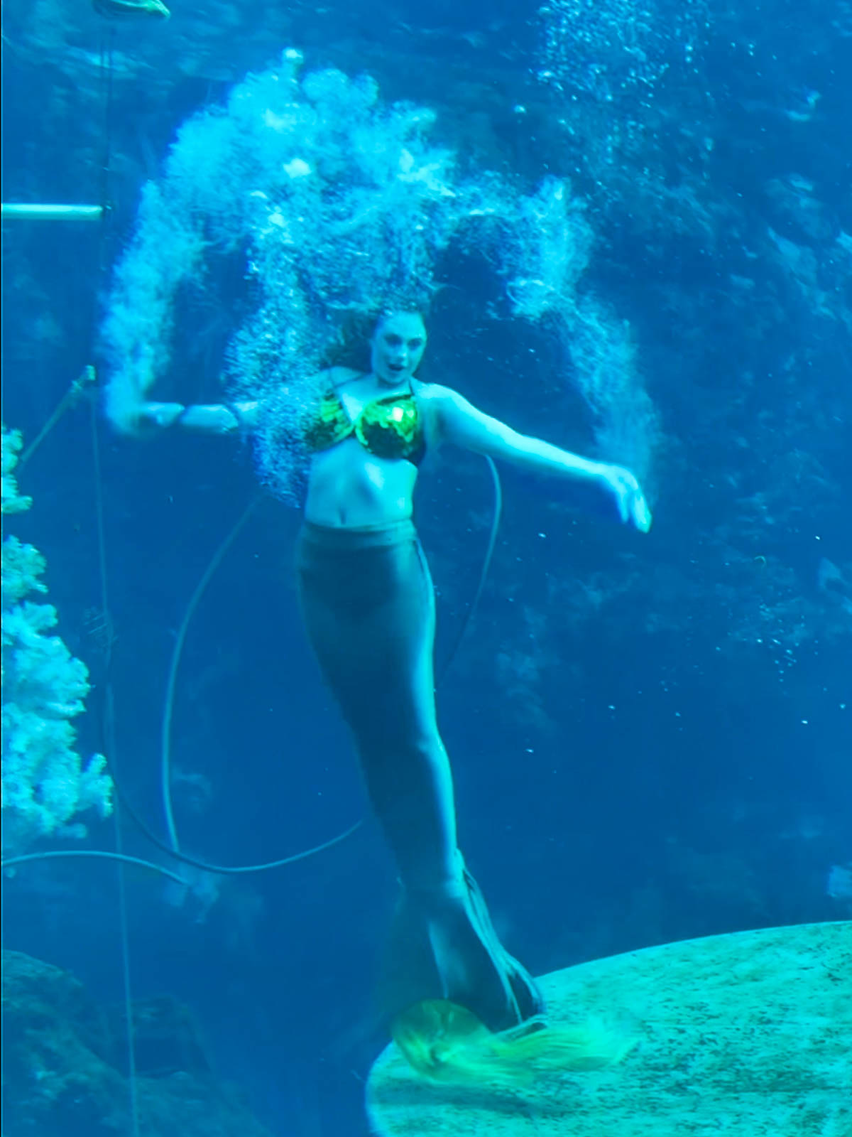 Mermaid performing in Weeki Wachee Springs in Spring Hill, Florida