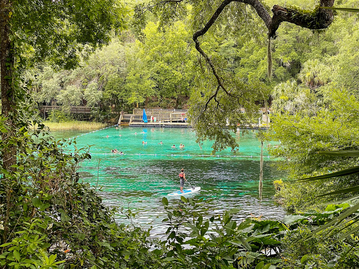 People swimming and paddle boarding in Rainbow Springs State Park in Dunnellon, Florida