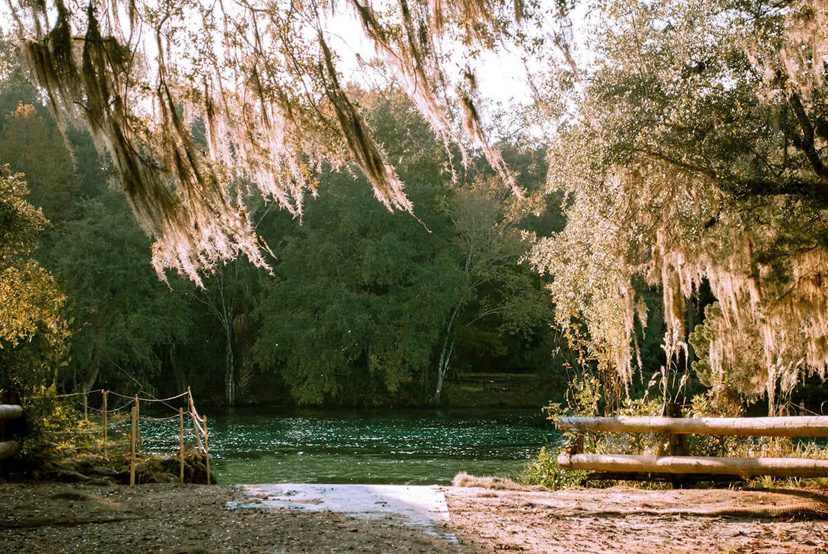 Spanish moss hanging over Silver Glen Spring in Yellow Bluff, Florida