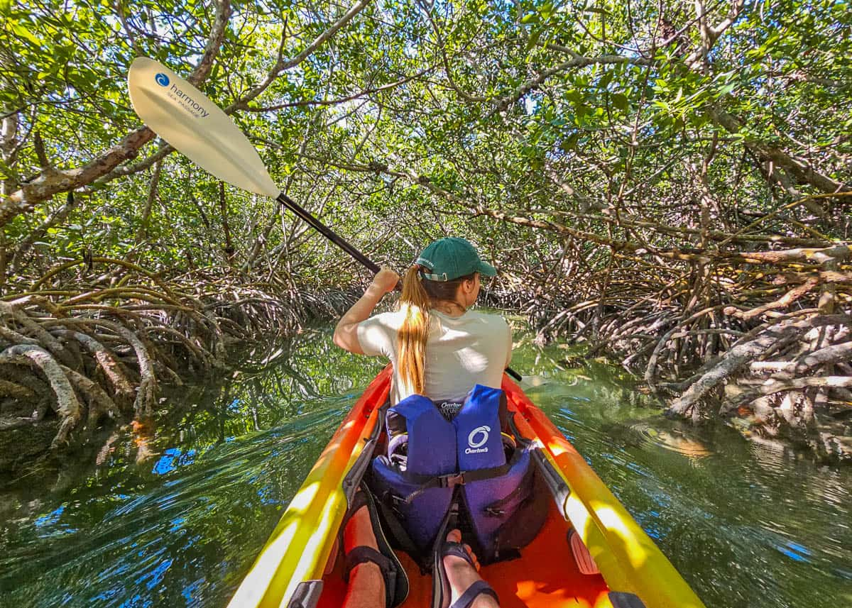 Woman kayaking through the mangrove tunnels in Key West, Florida