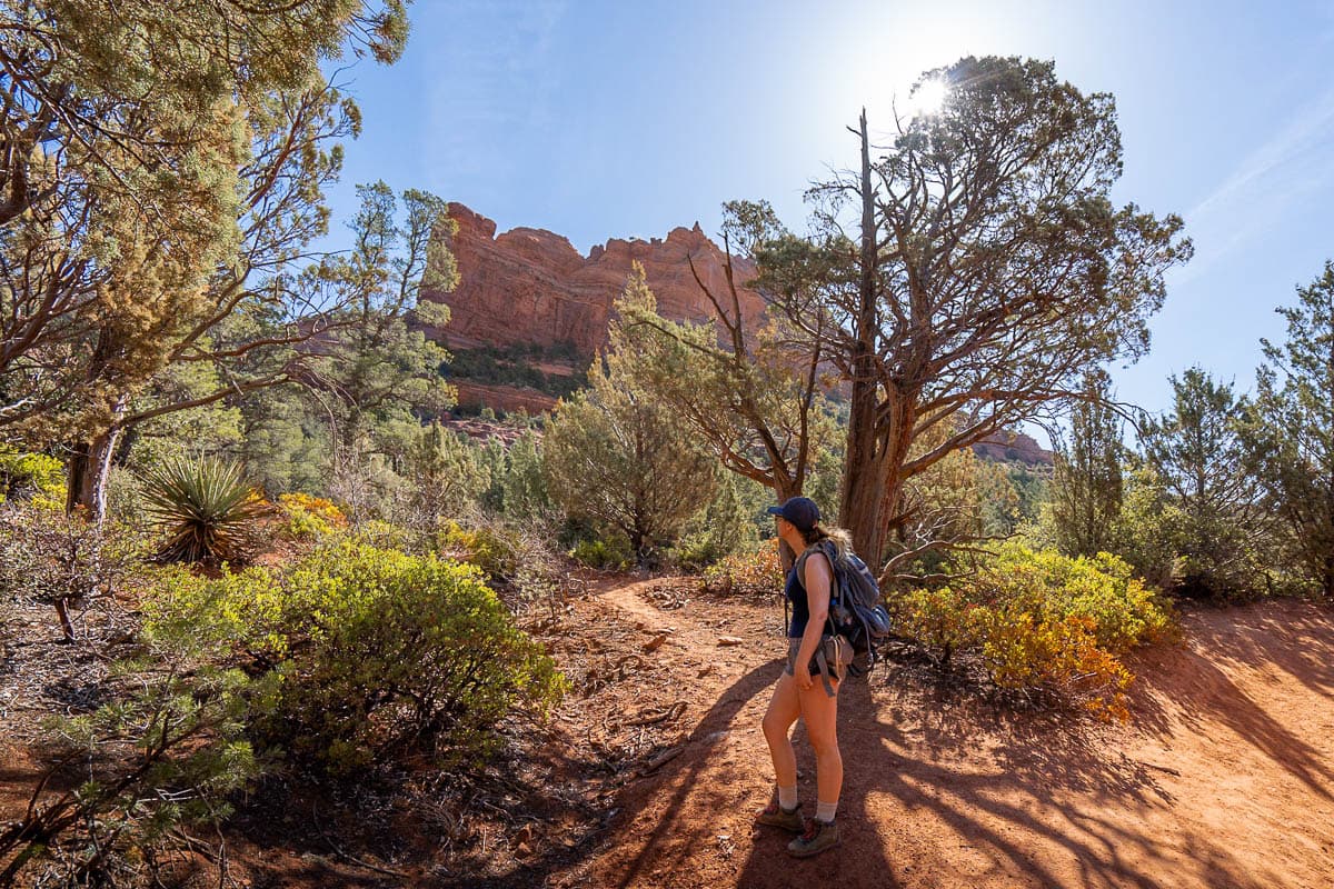 Woman standing near a tree with a rock formation in the background along the Soldier Pass Trail in Sedona, Arizona