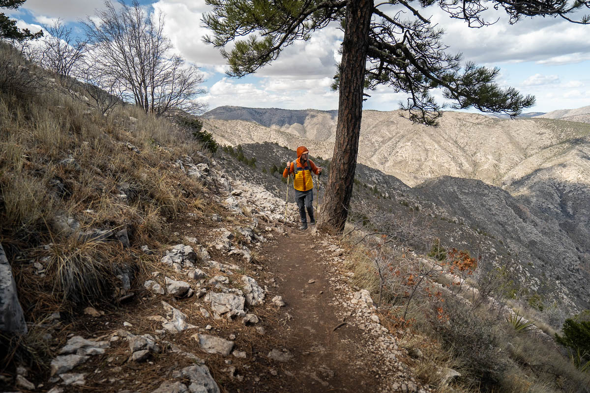 Man standing next to a pine tree with Hunter Peak in the background along the Guadalupe Peak Trail in Guadalupe Mountains National Park in Texas