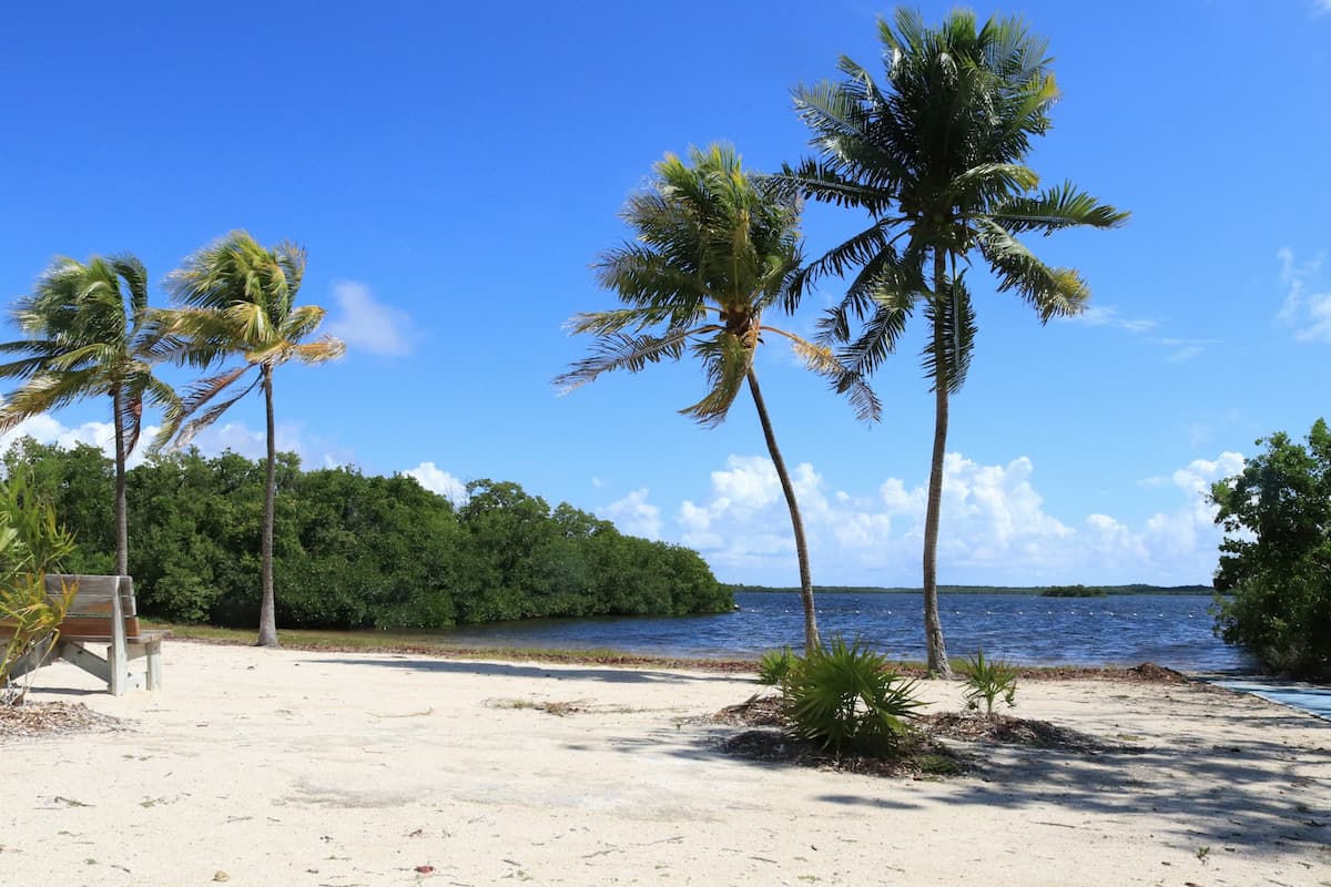 Beach in John Pennekamp Coral Reef State Park in Key Largo in Florida Keys, Florida