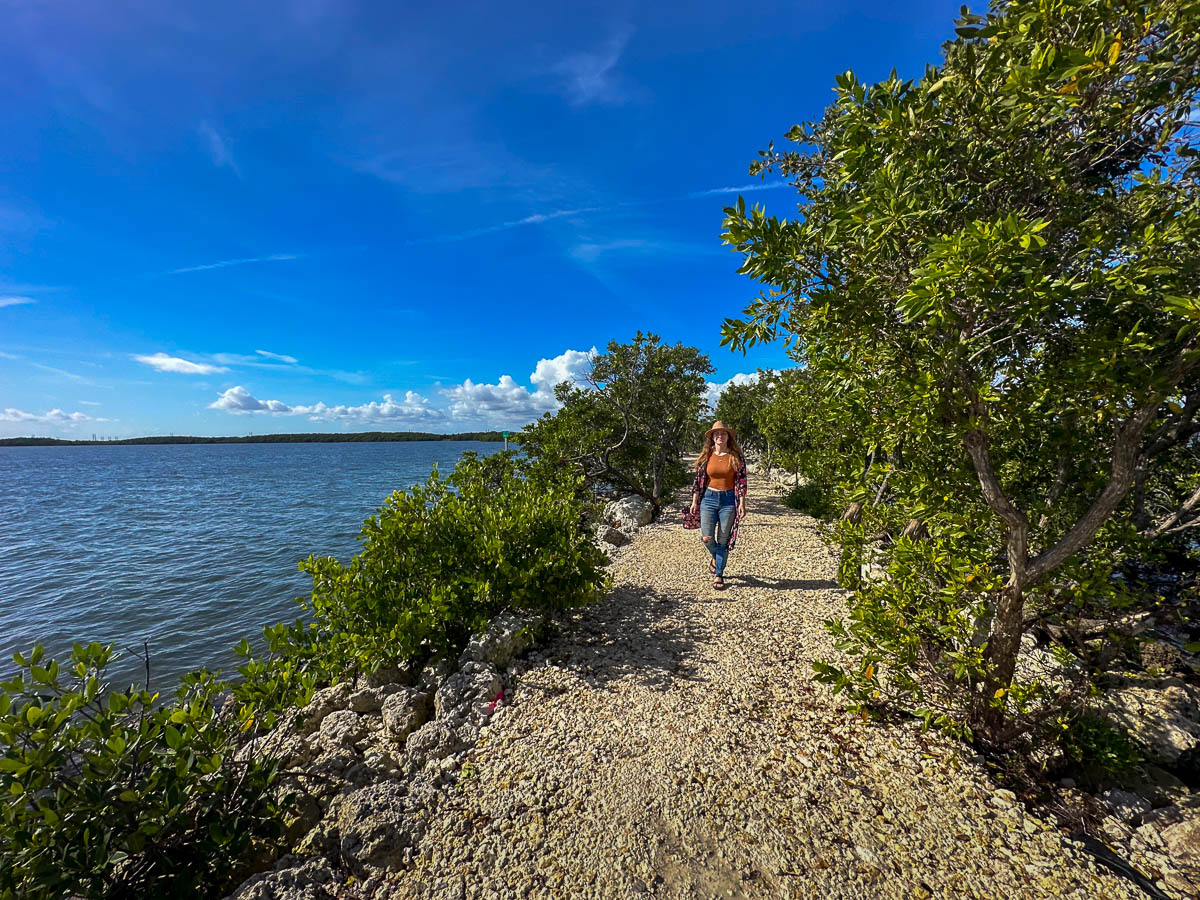 Woman walking along the mangroves in Biscayne National Park near Homestead, Florida