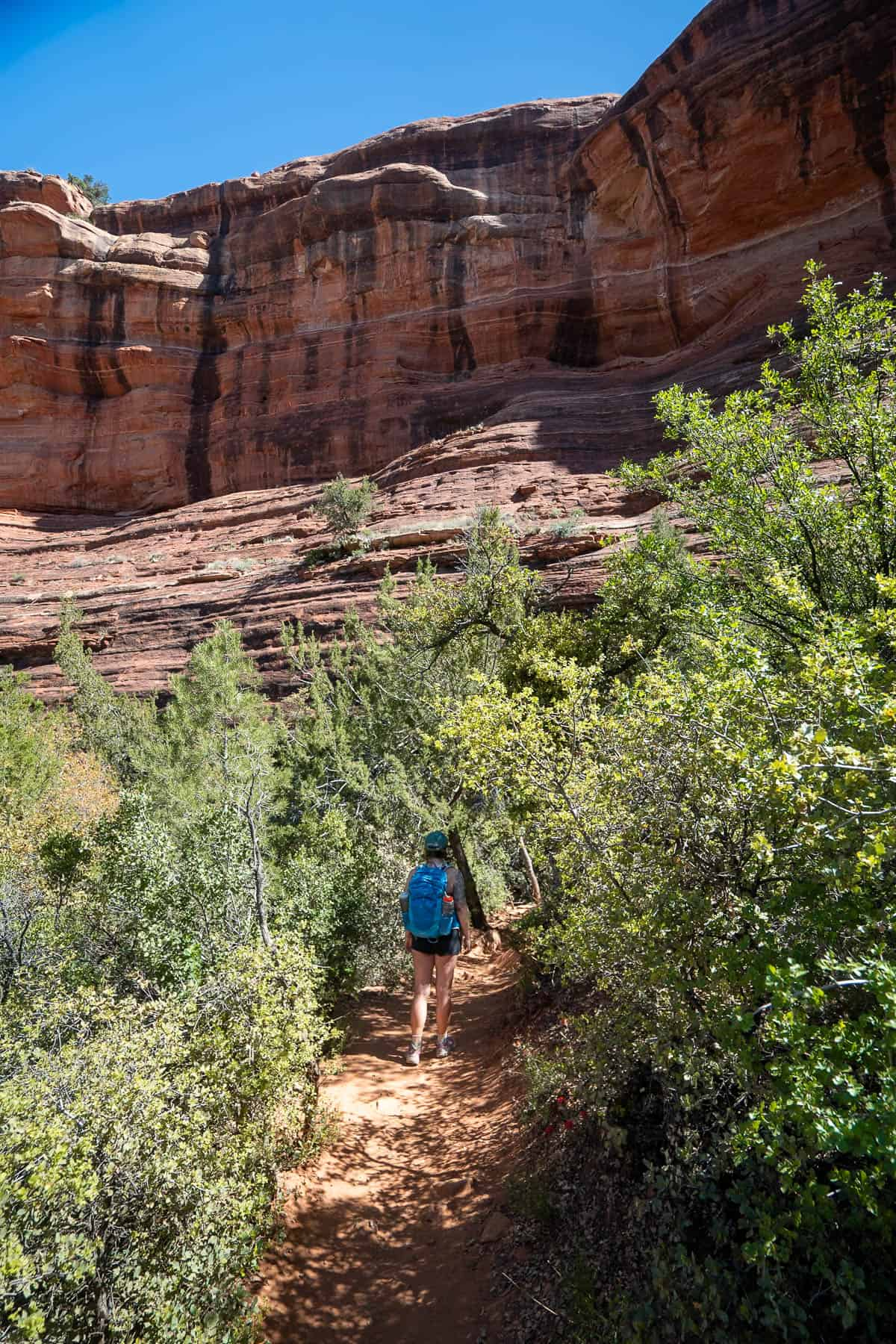 Woman hiking along a social trail through greenery to the Subway Cave in Sedona, Arizona