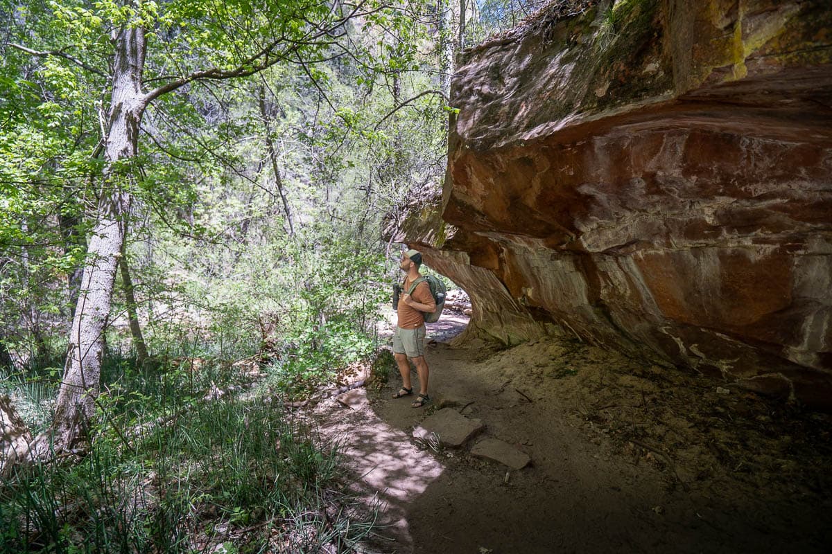 Man standing at the base of a rocky cliff along the West Fork Trail in Sedona, Arizona