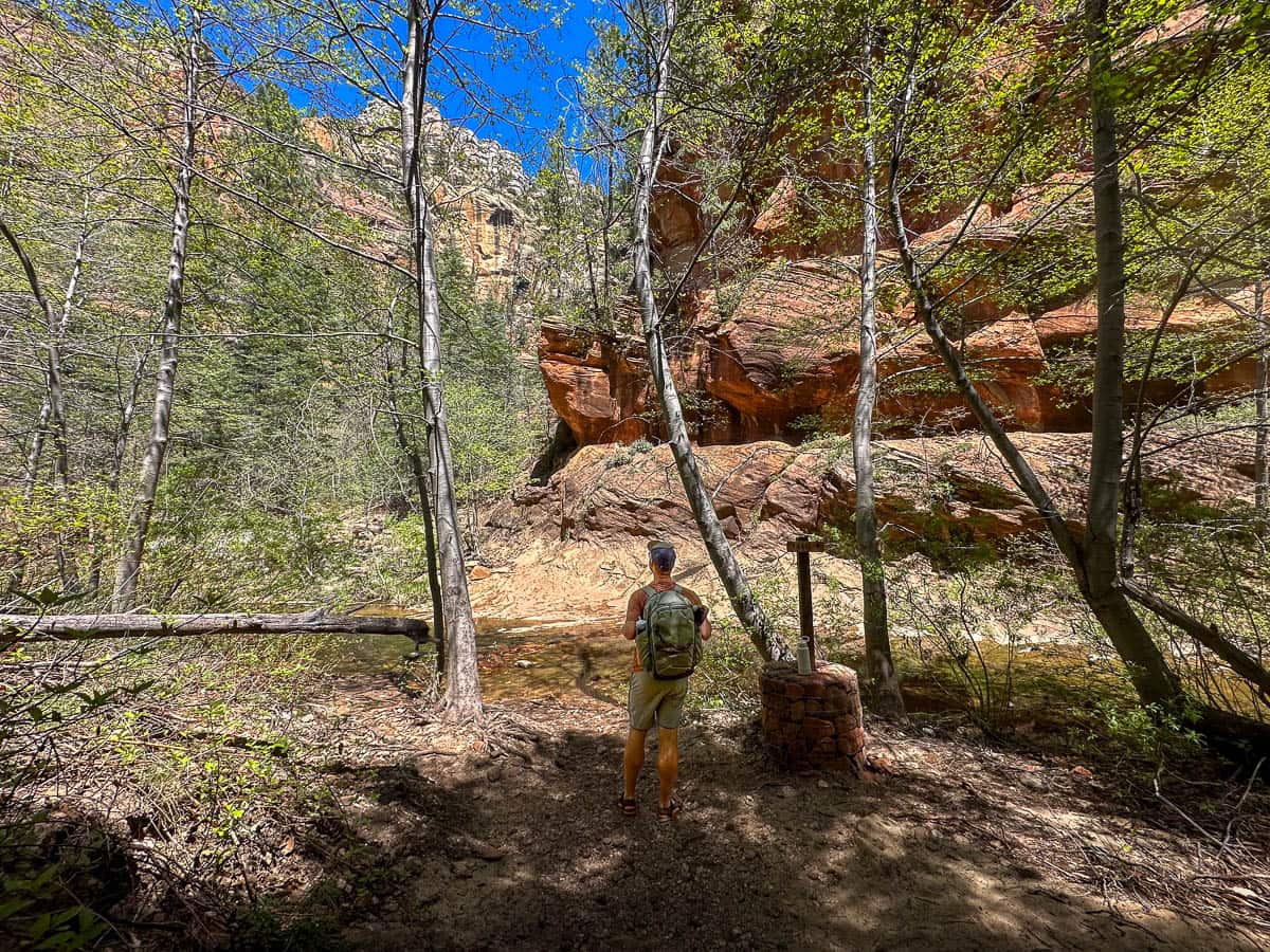 Man looking at cliffs with trees along the West Fork Creek in West Fork Trail in Sedona, Arizona