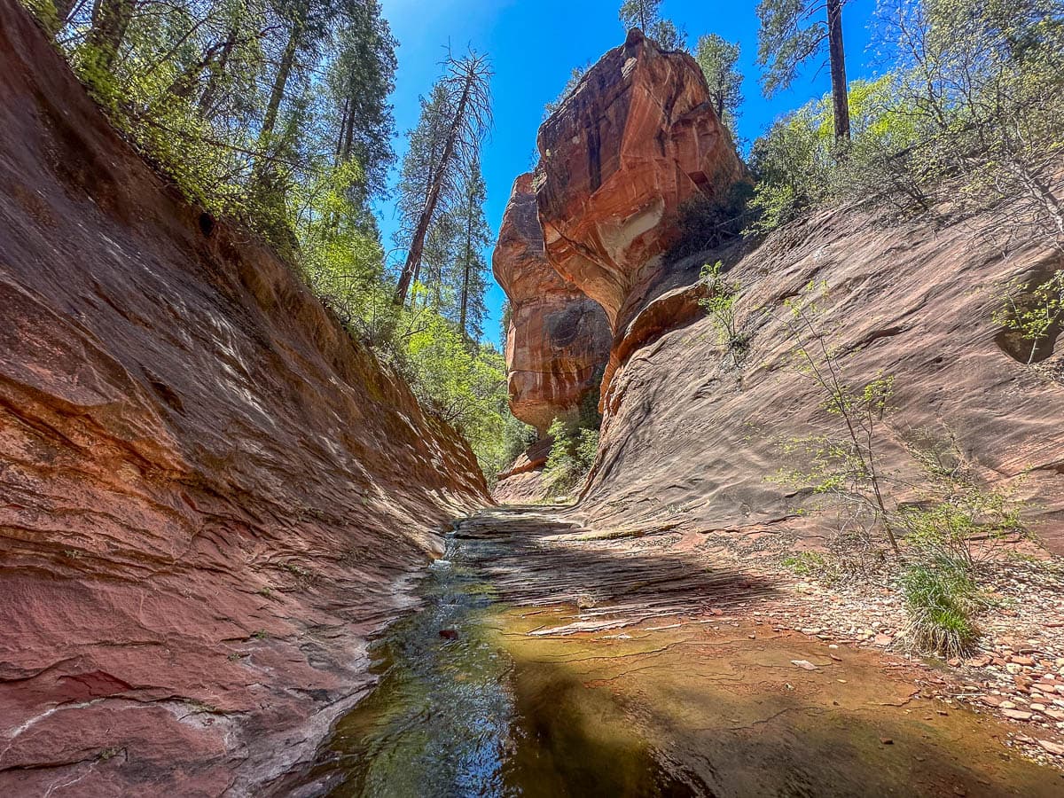 West Fork of the Oak Creek in a narrow slot canyon that's surrounded by greenery in Sedona, Arizona