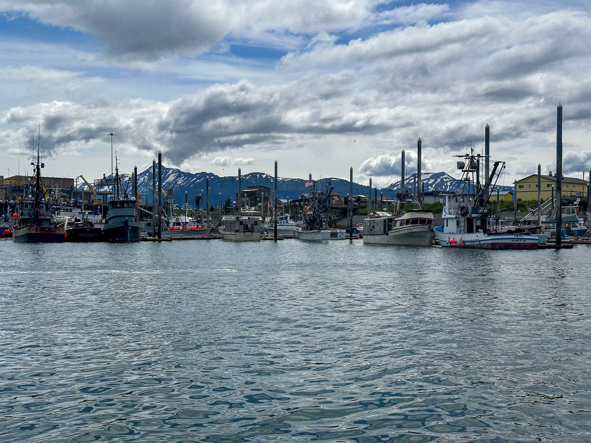 Boats in the harbor of Homer, Alaska