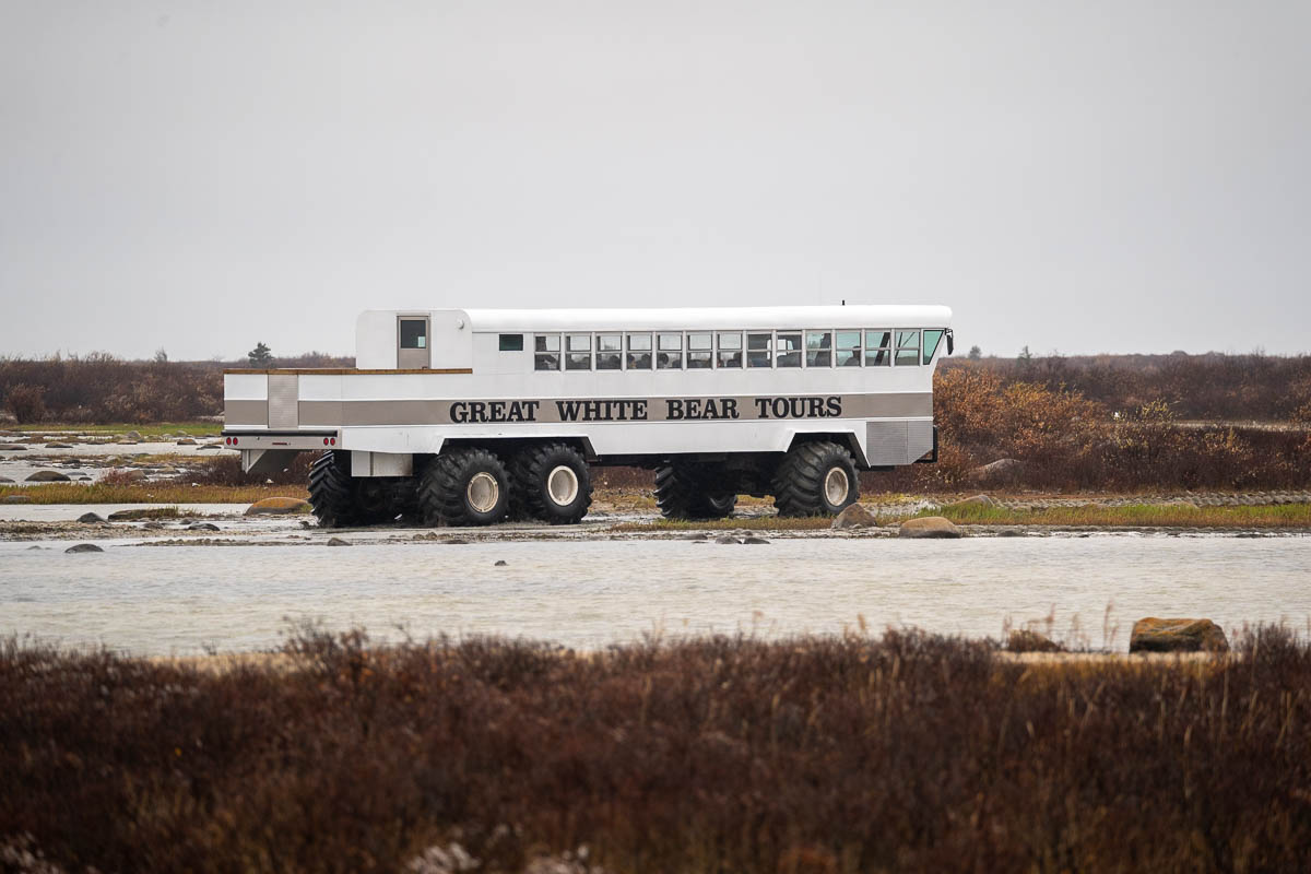 Polar rover for Great White Bear Tours  rolling on the tundra in Churchill, Manitoba