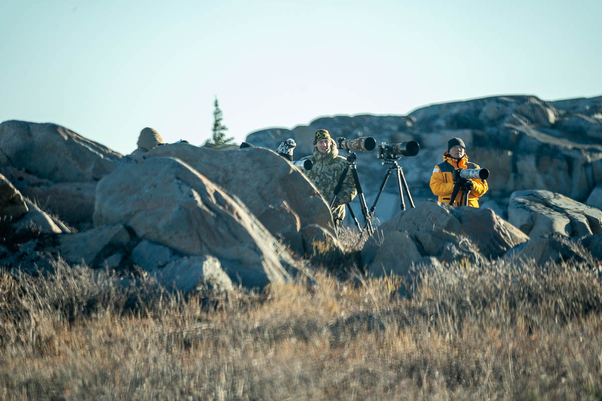 Photographers standing by rocks to photograph polar bears in Churchill, Manitoba