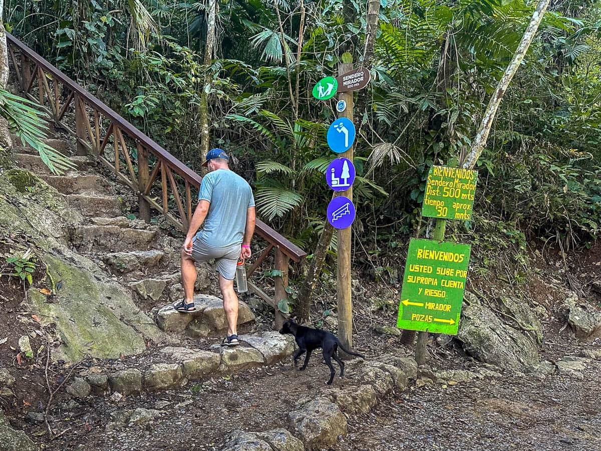 Man climbing up stairs to the Mirador Semuc Champey with a dog following behind him in Semuc Champey, Guatemala 