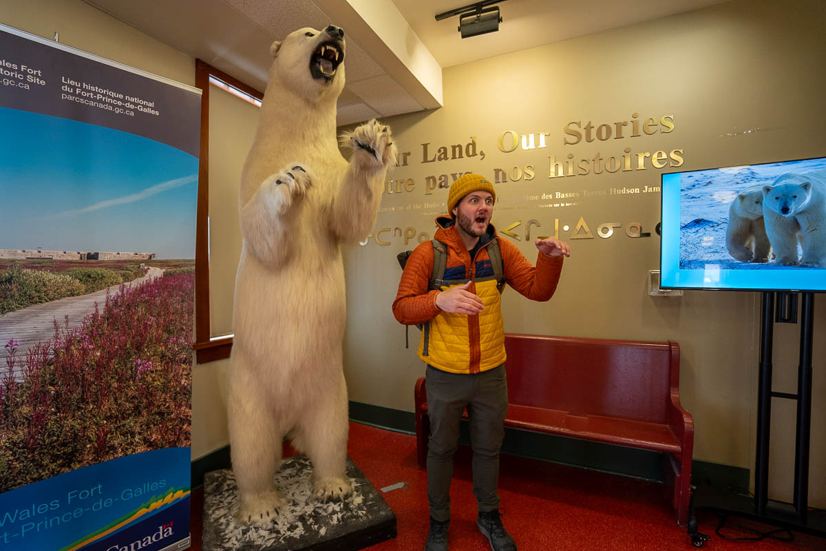 Man posing next to a polar bear in the  Parks Canada Visitor Center in Churchill, Manitoba