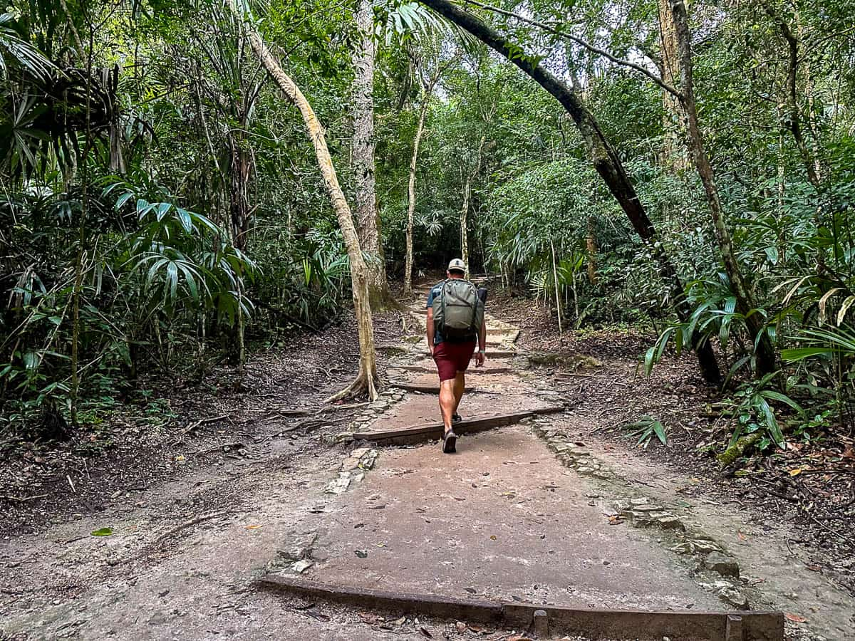 Man walking up a hiking trail through a jungle in Tikal, Guatemala