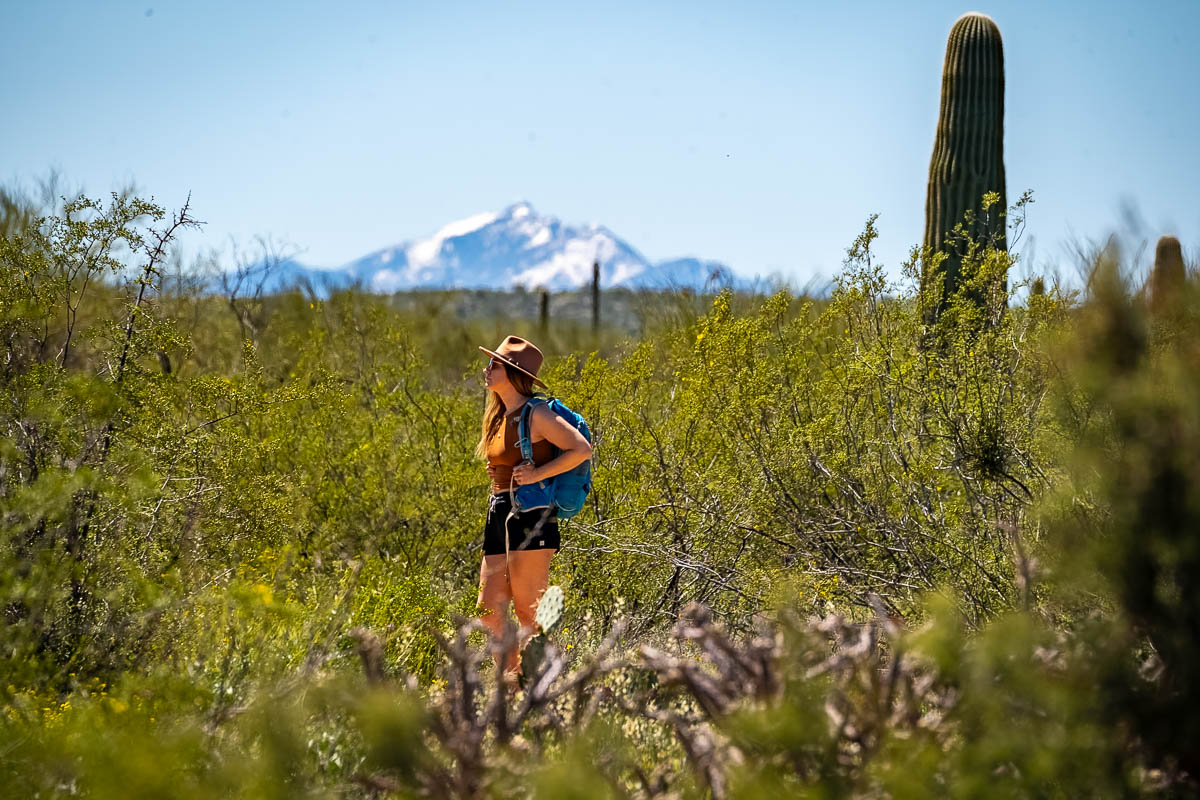 Woman hiking along the Mica View Trail with a mountain in the background in Saguaro National Park in Tucson, Arizona