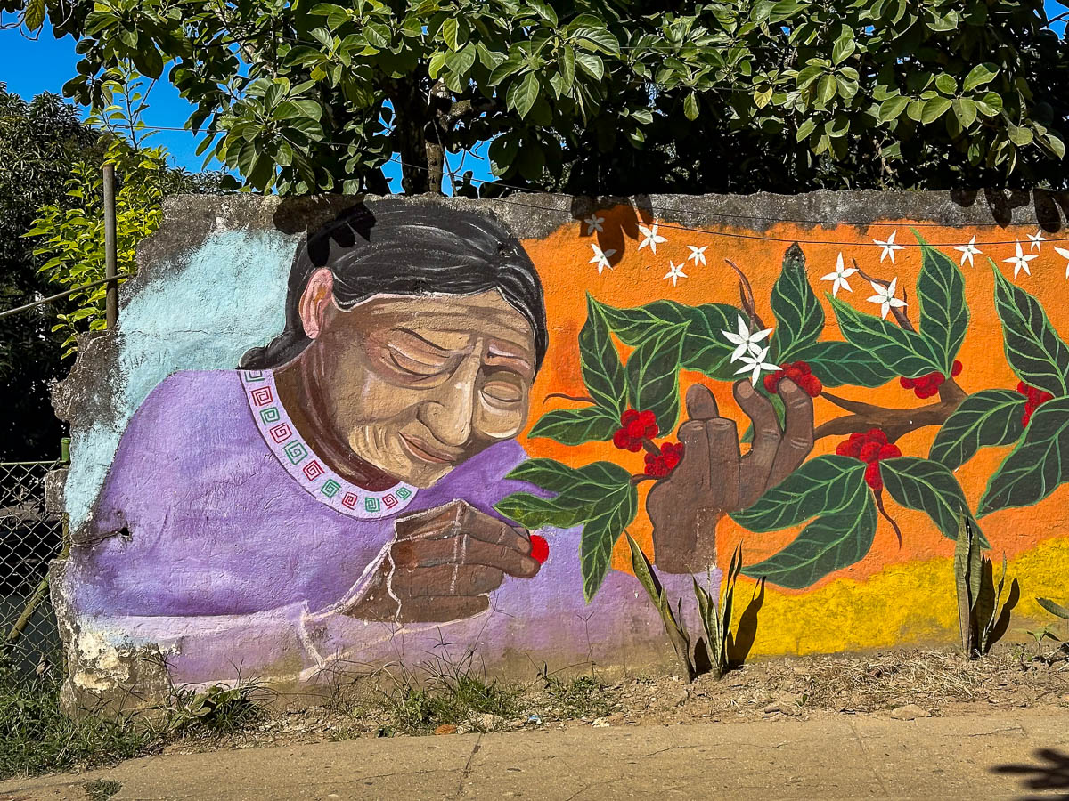 Mural of a woman picking berries from a plant in Minca, Colombia