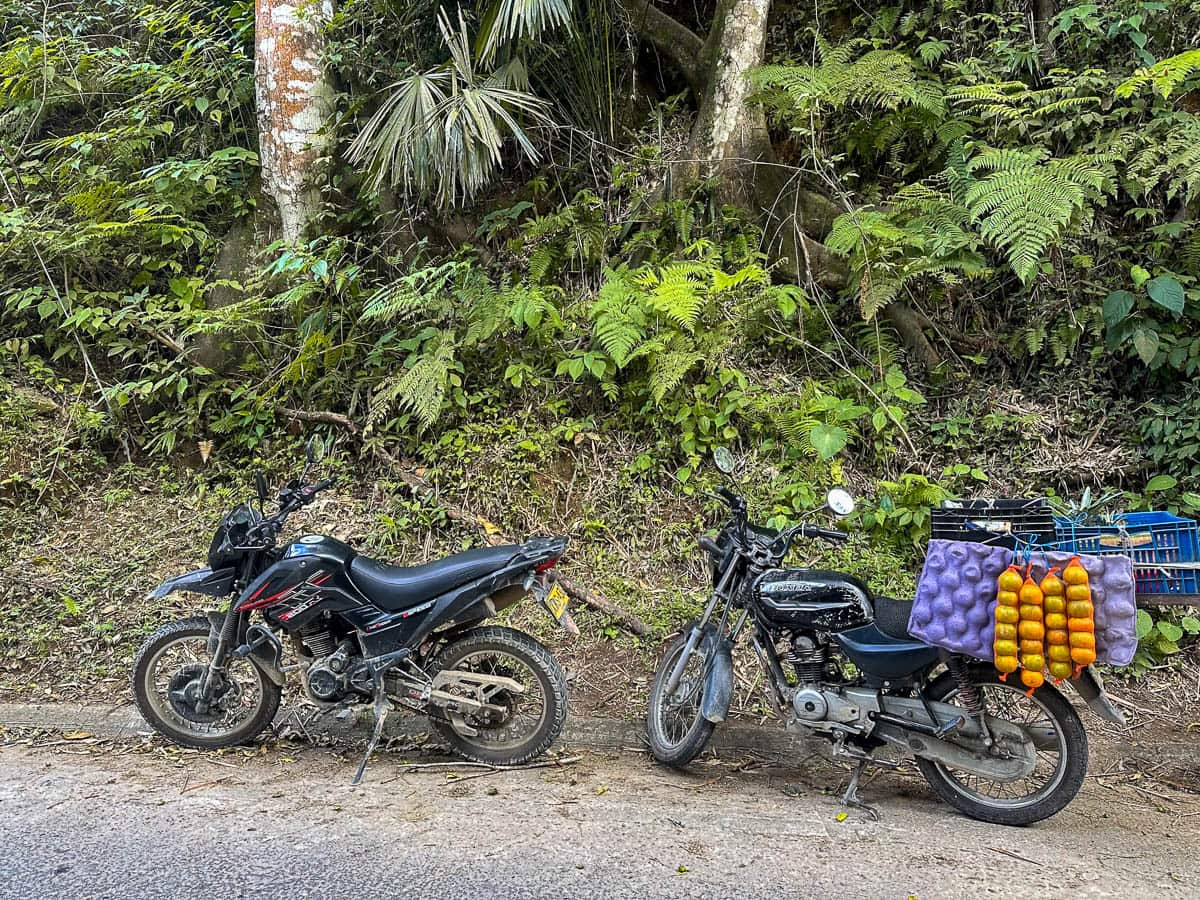 Scooters parked next to a road next to a jungle in Minca, Colombia