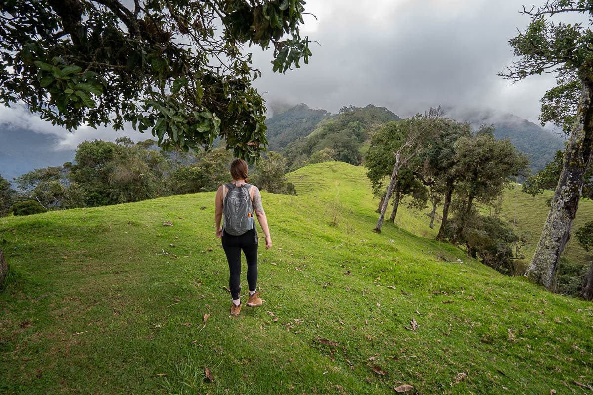 Woman walking through green farmland along the Cerro Morrogacho trail in the Cocora Valley near Salento, Colombia