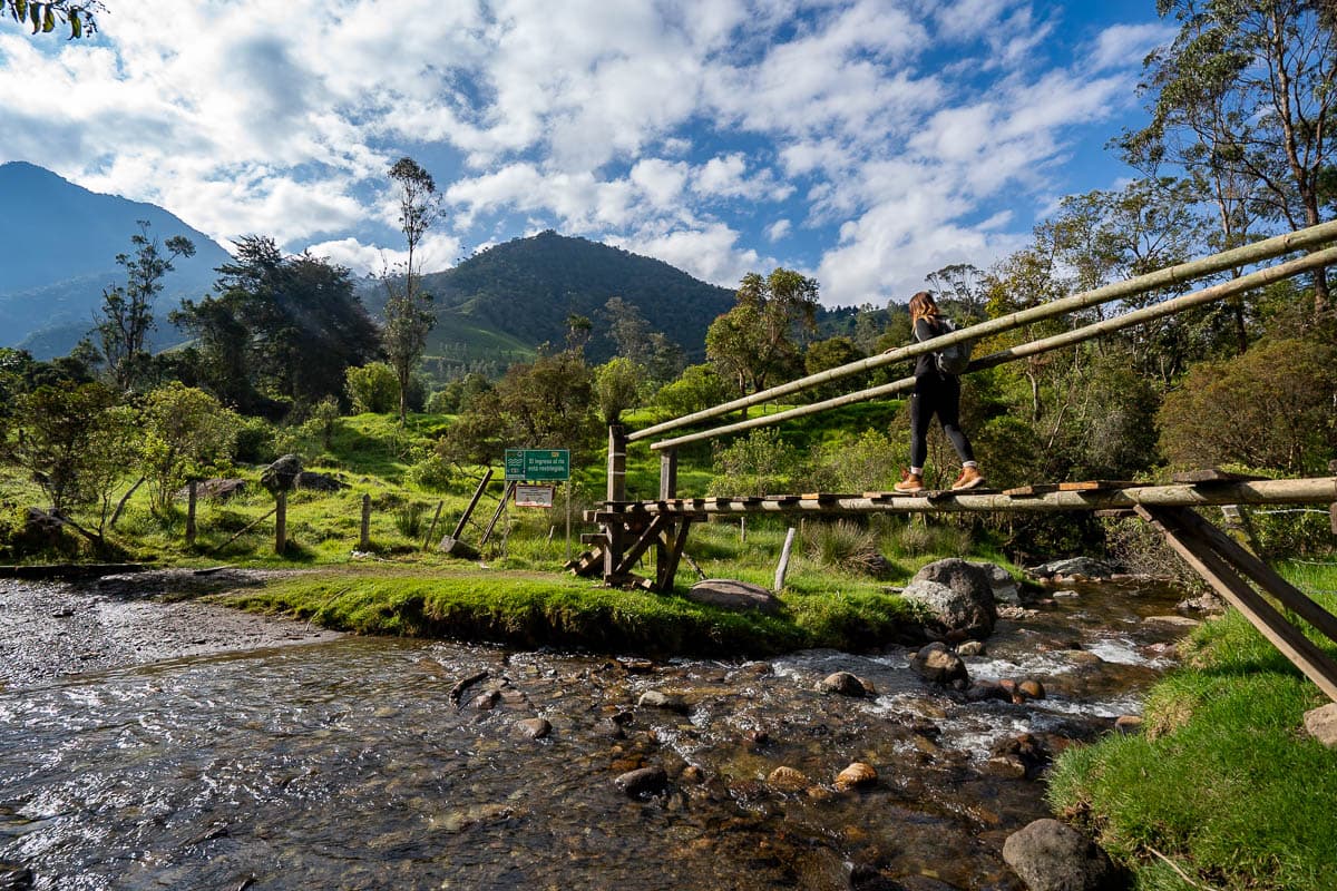 Woman walking across a wooden bridge over a stream in the Cerro Morrogacho hike in the Cocora Valley near Salento, Colombia