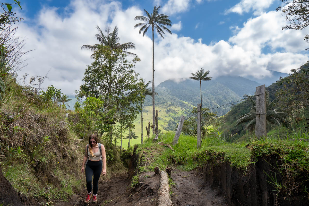 Woman hiking up the Cerro Morrogacho trail with wax palms and mountains in the background in the Cocora Valley near Salento, Colombia