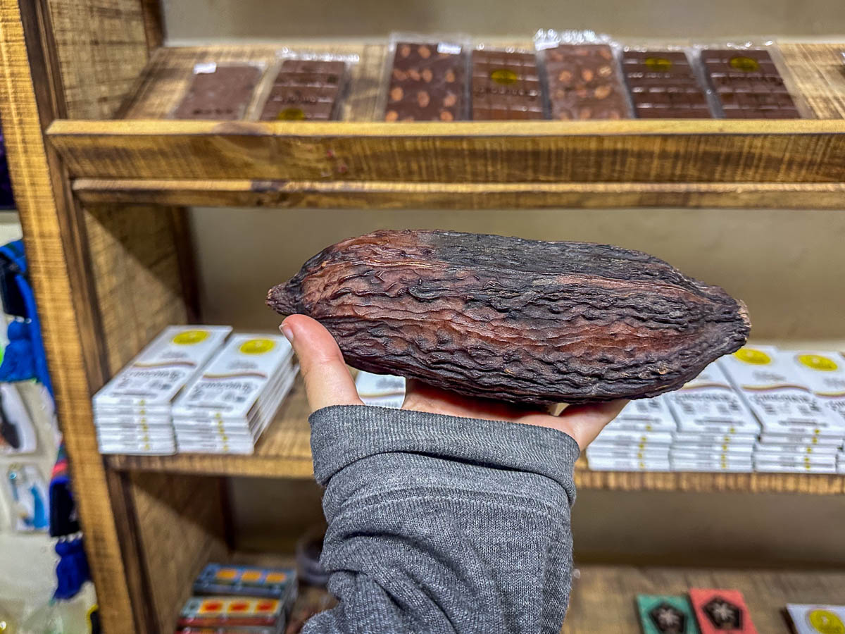 Woman holding a cacao pod in Cuscun Colombia chocolate shop in Guatape, Colombia