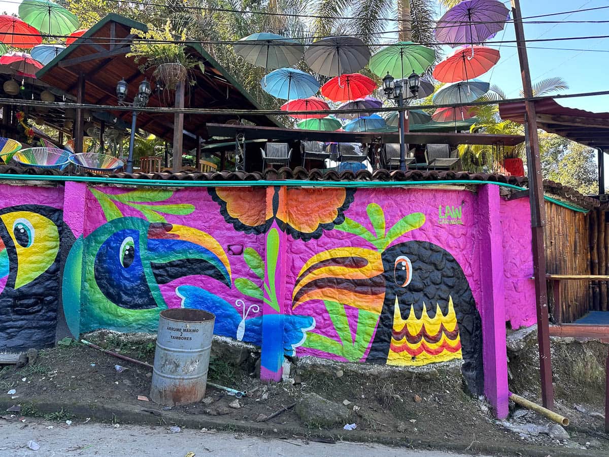 Toucan mural on a wall along a dirt road in Minca, Colombia
