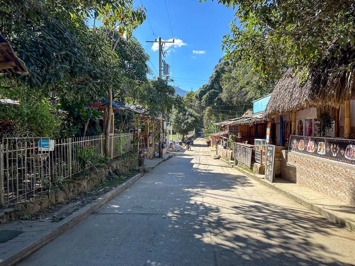 Thatched roofs on buildings leading down a street in Minca, Colombia