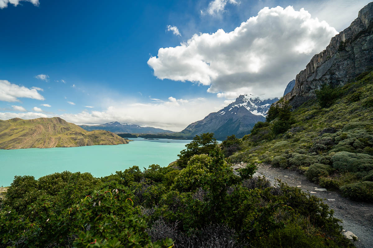 W Trek leading through a forest along the shores of Nordenskjöld Lake with a mountain in the background in Torres del Paine National Park in Chilean Patagonia