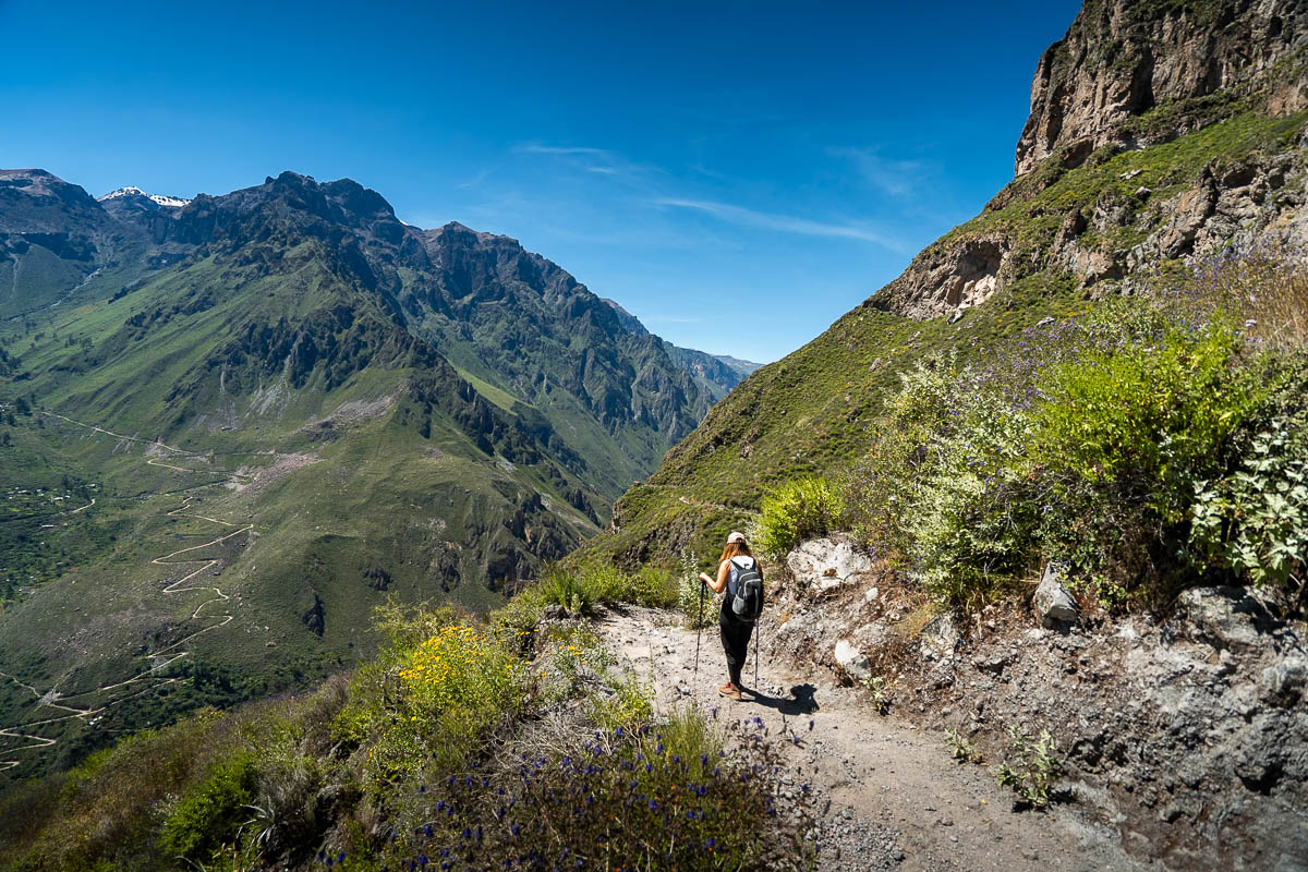 The Colca Canyon Trek In Peru Everything You Need To Know 90summers