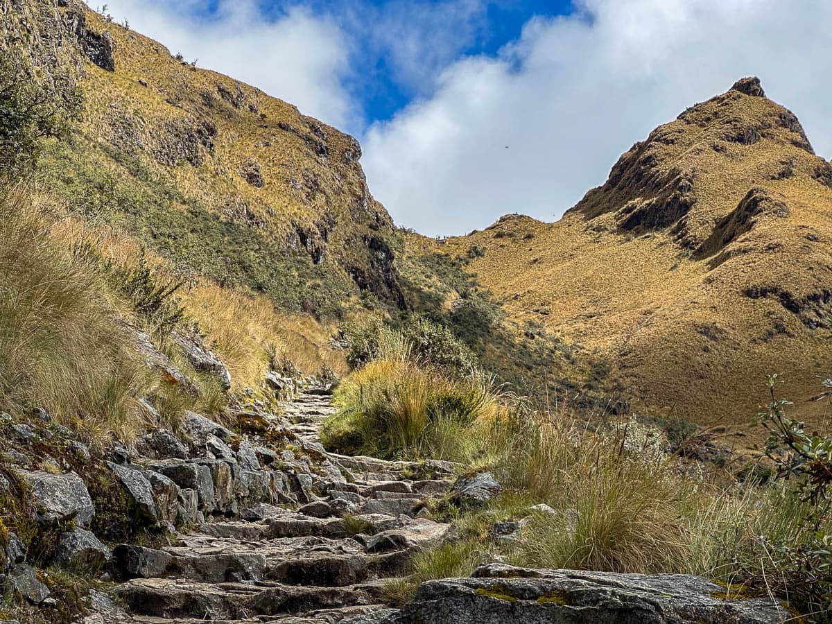 Stone steps leading up to Dead Woman's Pass along the Inca Trail in Peru