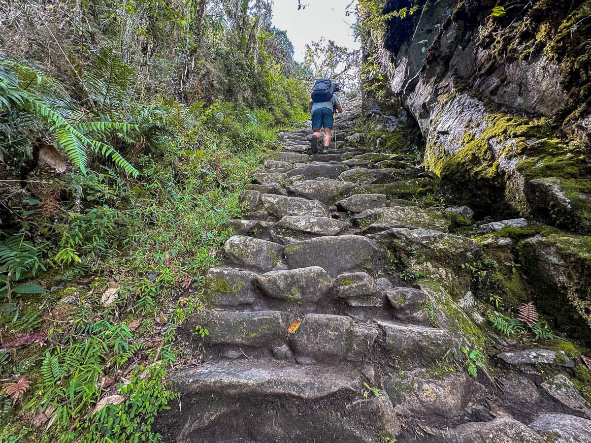 Man climbing up the Gringo Killer stone stairs along the Inca Trail in Peru