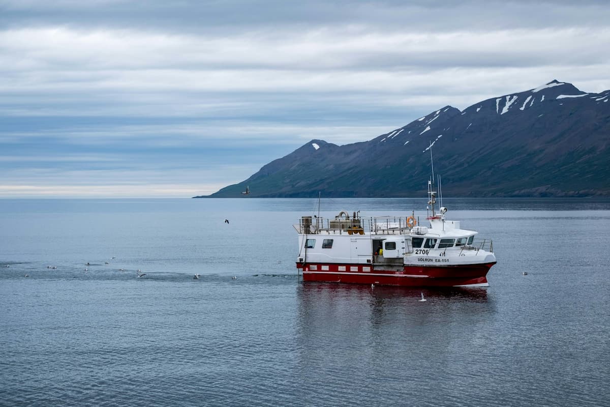 Whale watching tour boat with a snow-capped mountains in the background in the Eyjafjörður fjord in Hauganes, Iceland