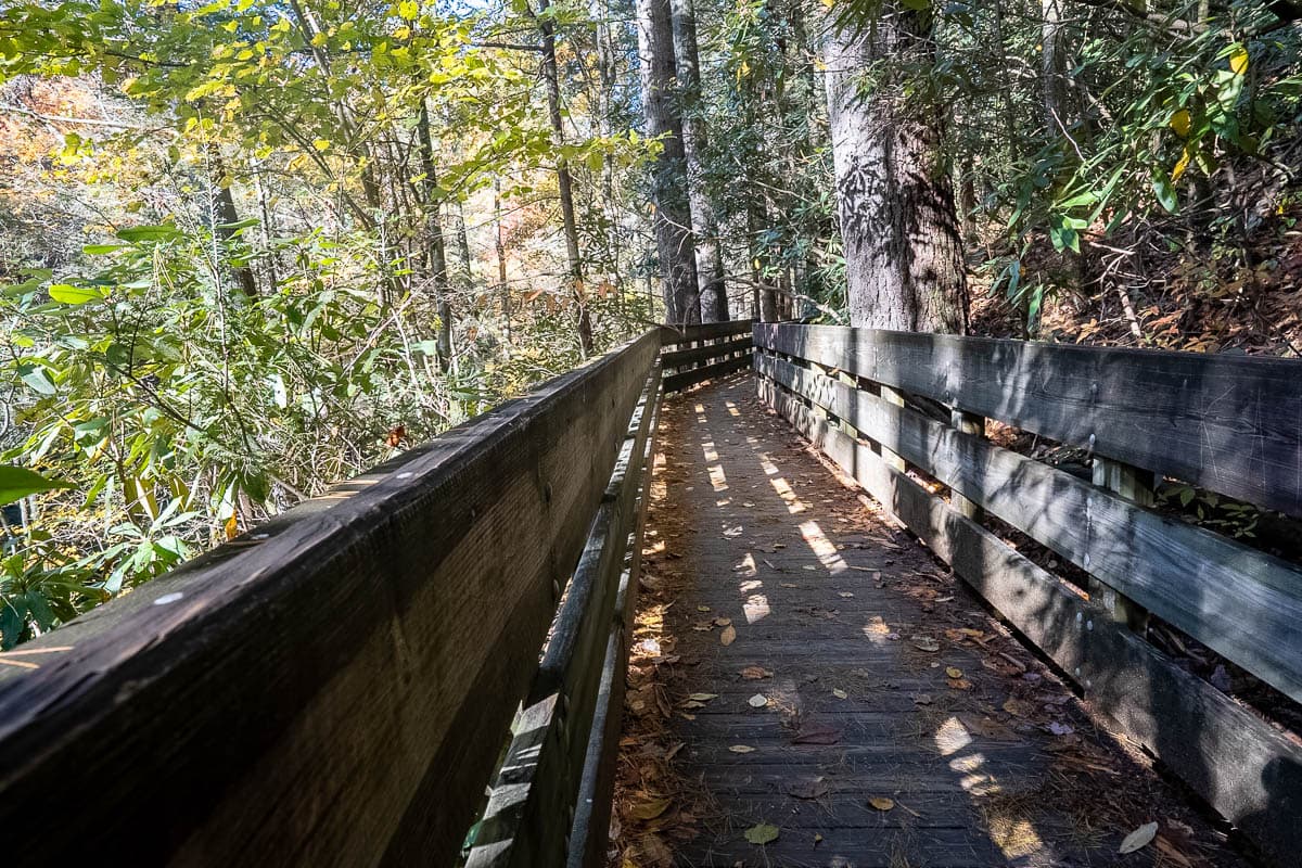 Wooden boardwalk leading through the Dukes Creek Falls Trail near Helen, Georgia