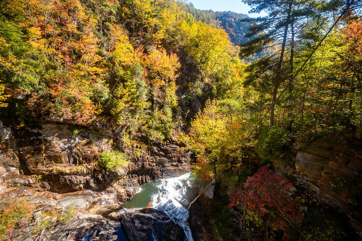 View into Tallulah Gorge from a suspension bridge with fall foliage on a rugged cliffside in northern Georgia