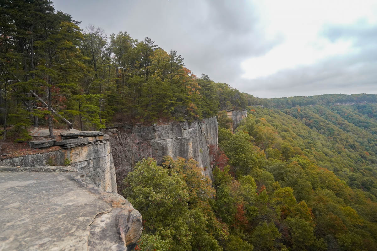 View of rocky outcroppings along the Endless Wall Trail in West Virginia