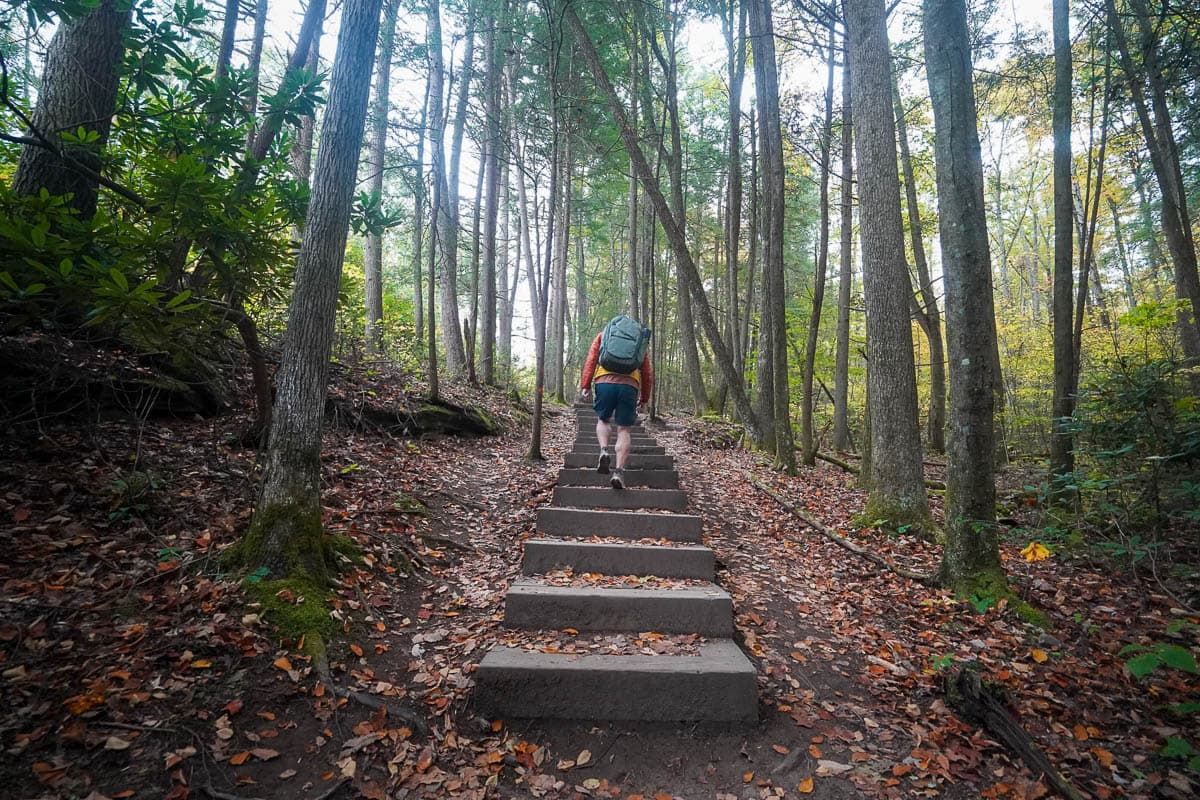 Man walking up a series of stairs along the Endless Wall Trail in the New River Gorge National Park in West Virginia