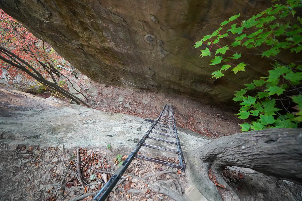 Miners Ladder leading down a sandstone cliff along the Endless Wall Trail in New River Gorge National Park in West Virginia