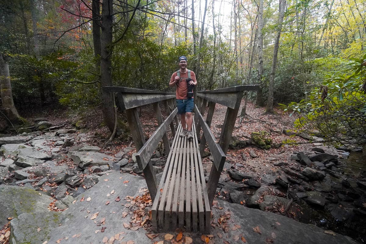 Man walking on a wooden bridge along the Endless Wall Trail in New River Gorge National Park in West Virginia