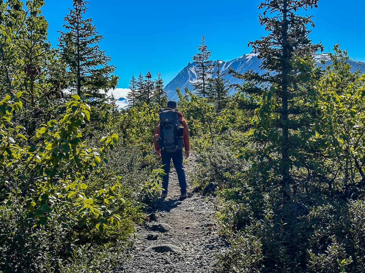 Man hiking along a trail in a pine tree forest with mountains in the background along the Grewingk Glacier Lake hike in Kachemak Bay State Park, Alaska