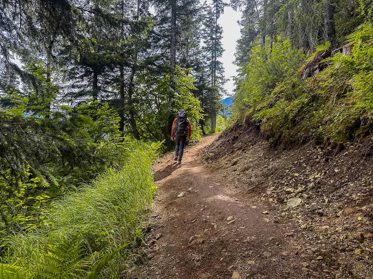 Man hiking along a dirt trail through a pine forest along the Grewingk Glacier Lake Trail in Kachemak Bay State Park, Alaska
