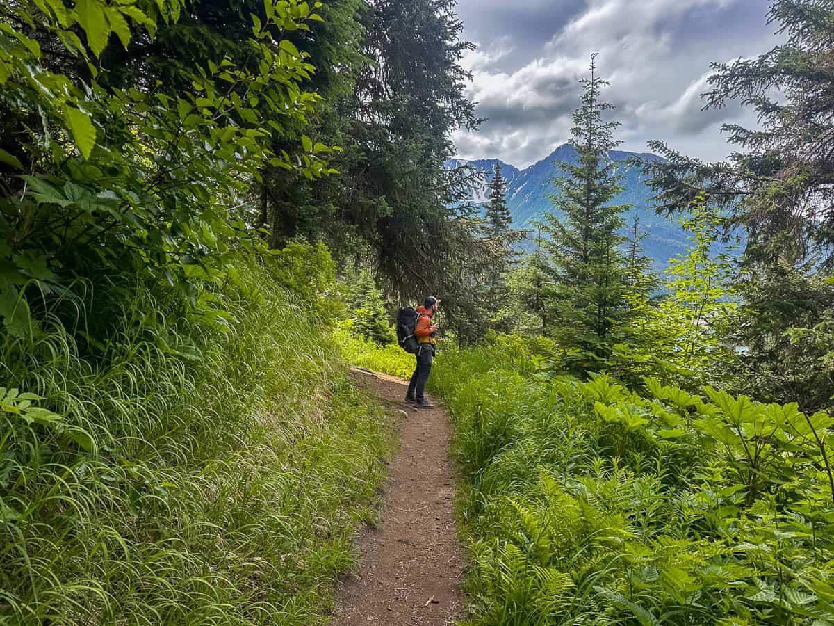 Man standing on the Saddle Trail from the Grewingk Glacier surrounded by greenery with mountains in the background in Kachemak Bay State Park, Alaska