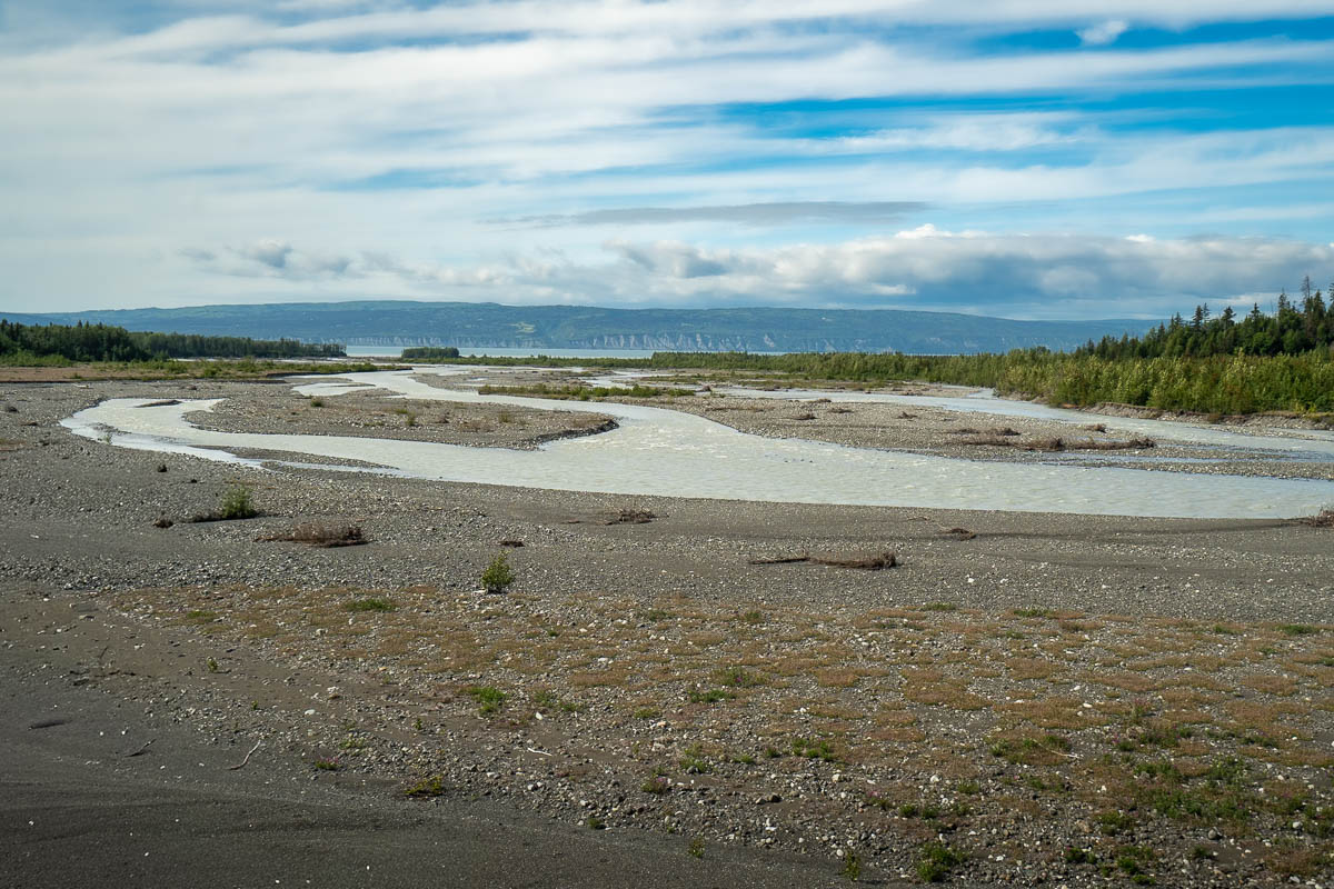 River braids along the Grewingk Creek with pine tree forests surrounding it in Kachemak Bay State Park, Alaska